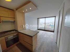 1 Bedroom Apartment for rent in Puente Alto, Cordillera, Puente Alto