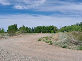  Land for sale in Confluencia, Neuquen, Confluencia