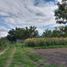  Land for sale in Parras, Coahuila, Parras