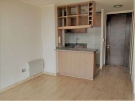 1 Habitación Apartamento en venta en Cordillera, Santiago, Puente Alto, Cordillera