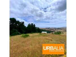  Terrain for sale in Paredones, Cardenal Caro, Paredones