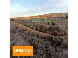  Terrain for sale in Paredones, Cardenal Caro, Paredones