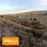  Land for sale in Paredones, Cardenal Caro, Paredones