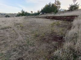  Land for sale in Paredones, Cardenal Caro, Paredones