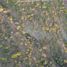  Land for sale in Huimilpan, Queretaro, Huimilpan