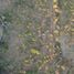  Land for sale in Huimilpan, Queretaro, Huimilpan