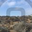  Terrain for sale in Linares, Maule, Parral, Linares