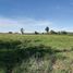  Land for sale in Teno, Curico, Teno