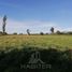  Land for sale in Teno, Curico, Teno