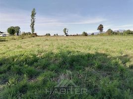  Terreno (Parcela) en venta en Teno, Curicó, Teno