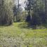  Land for sale in Los Rios, Lanco, Valdivia, Los Rios