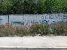  Terreno (Parcela) en venta en Cozumel, Quintana Roo, Cozumel, Quintana Roo, México