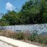  Terreno (Parcela) en venta en Cozumel, Quintana Roo, Cozumel, Quintana Roo, México