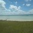  Grundstück zu verkaufen in Othon P Blanco, Quintana Roo, Othon P Blanco