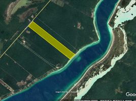  Grundstück zu verkaufen in Othon P Blanco, Quintana Roo, Othon P Blanco