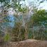 Terrain à vendre à Othon P Blanco, Quintana Roo, Othon P Blanco