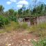  Terrain for sale in Othon P Blanco, Quintana Roo, Othon P Blanco