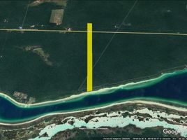  Terrain for sale in Othon P Blanco, Quintana Roo, Othon P Blanco