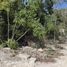  Land for sale in Cozumel, Quintana Roo, Cozumel
