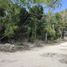  Land for sale in Cozumel, Quintana Roo, Cozumel