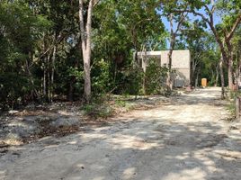  Land for sale in Cozumel, Quintana Roo, Cozumel