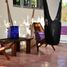 1 Bedroom Apartment for rent in Cozumel, Quintana Roo, Cozumel, Quintana Roo