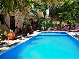 1 Bedroom Apartment for rent in Cozumel, Quintana Roo, Cozumel, Quintana Roo