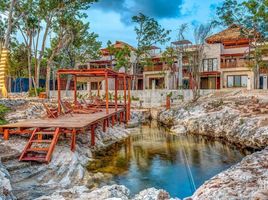 Villa 3 chambre à louer à Cozumel, Quintana Roo, Cozumel