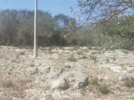  Grundstück zu verkaufen in Hunucma, Yucatan, Hunucma