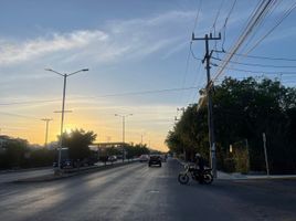  Grundstück zu verkaufen in Cozumel, Quintana Roo, Cozumel