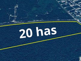  Land for sale in Cozumel, Quintana Roo, Cozumel