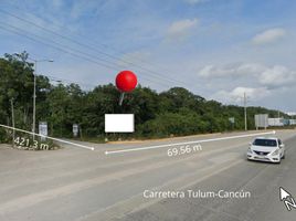  Terreno (Parcela) en venta en Cozumel, Quintana Roo, Cozumel