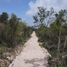  Grundstück zu verkaufen in Cozumel, Quintana Roo, Cozumel