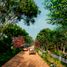  Land for sale in Temax, Yucatan, Temax