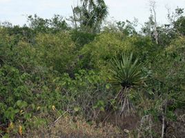 Terrain à vendre à Yaxkukul, Yucatan, Yaxkukul