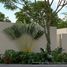  Terreno (Parcela) en venta en Chemax, Yucatán, Chemax
