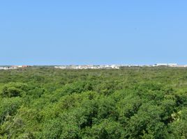  Grundstück zu verkaufen in Cozumel, Quintana Roo, Cozumel