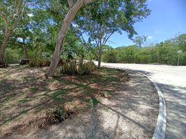  Grundstück zu verkaufen in Merida, Yucatan, Merida, Yucatan