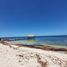  Land for sale in Yobain, Yucatan, Yobain