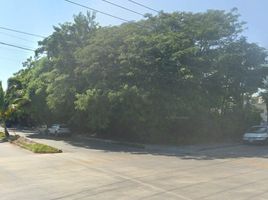  Terreno (Parcela) en venta en Othon P Blanco, Quintana Roo, Othon P Blanco
