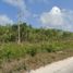 Terrain à vendre à Cozumel, Quintana Roo, Cozumel