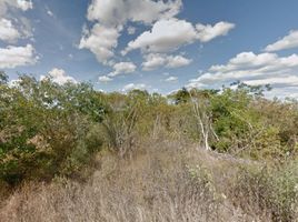  Grundstück zu verkaufen in Conkal, Yucatan, Conkal