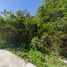 Terrain à vendre à Cozumel, Quintana Roo, Cozumel