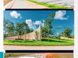 Grundstück zu verkaufen in Merida, Yucatan, Merida, Yucatan