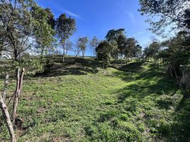  Terreno (Parcela) en venta en Guarne, Antioquia, Guarne