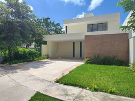 Maison 4 chambre à vendre à Conkal, Yucatan, Conkal