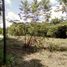  Land for sale in Centro, Tabasco, Centro, Tabasco