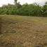  Land for sale in Centro, Tabasco, Centro, Tabasco