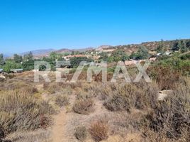  Grundstück zu verkaufen in Tecate, Baja California, Tecate