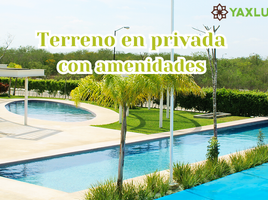  Land for sale in Tixkokob, Yucatan, Tixkokob